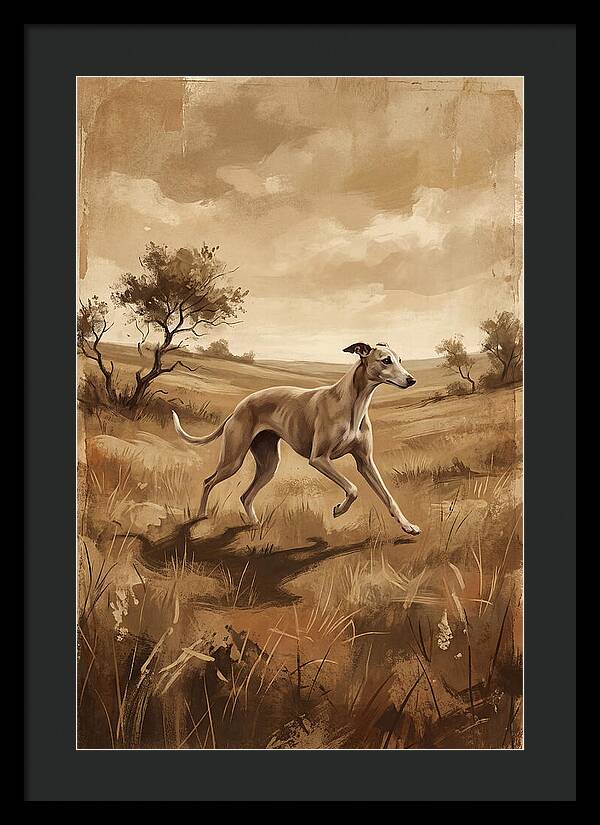 Whippet Running Gracefully Through Fields