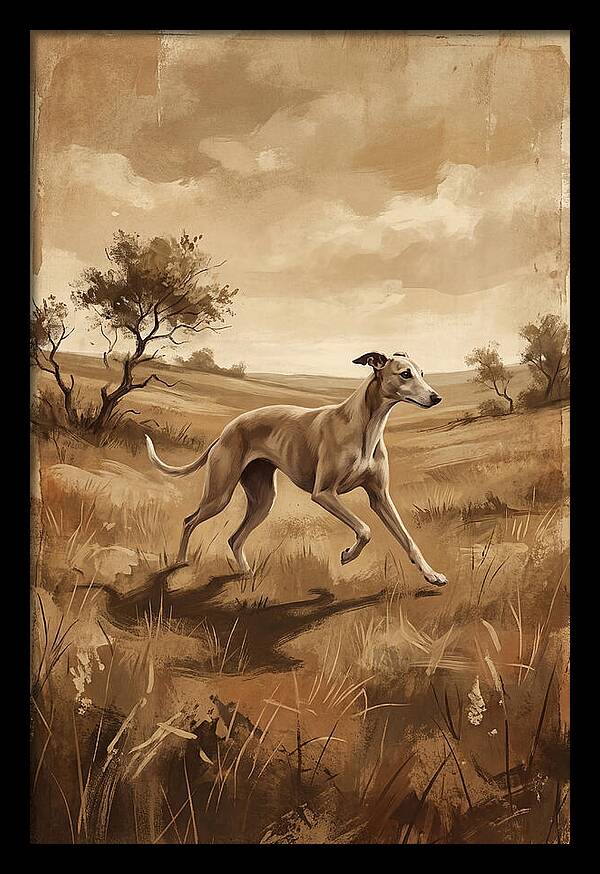 Whippet Running Gracefully Through Fields