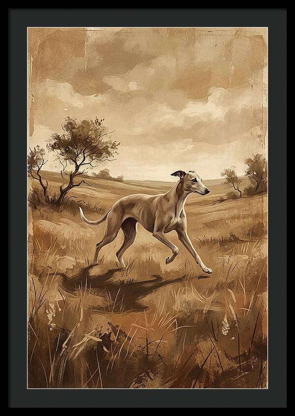 Whippet Running Gracefully Through Fields