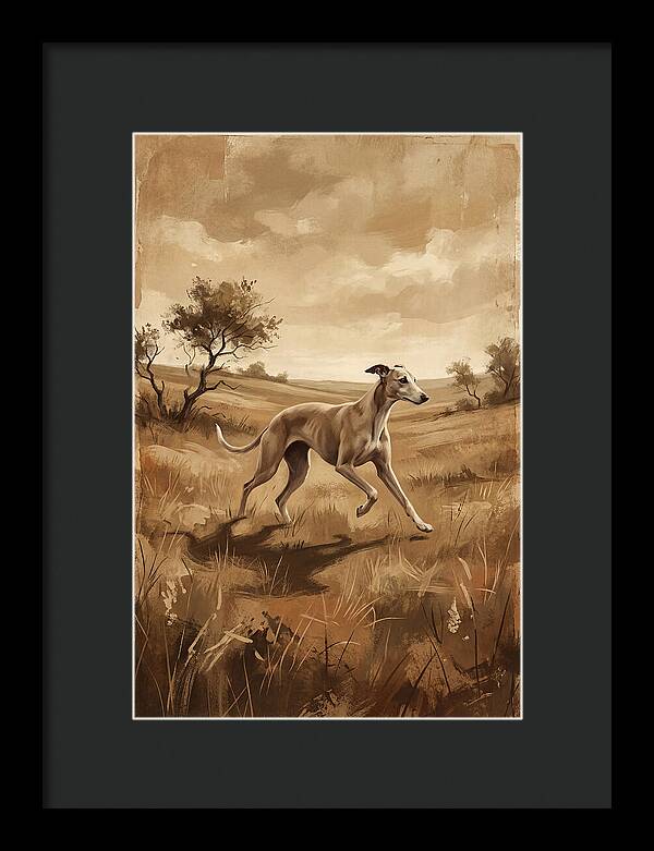 Whippet Running Gracefully Through Fields