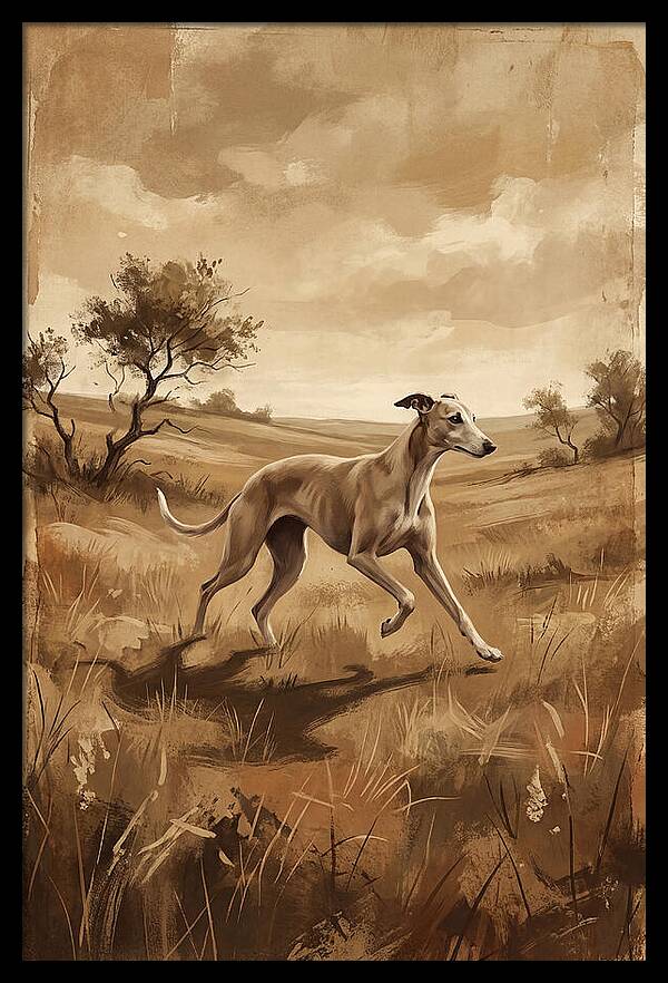 Whippet Running Gracefully Through Fields
