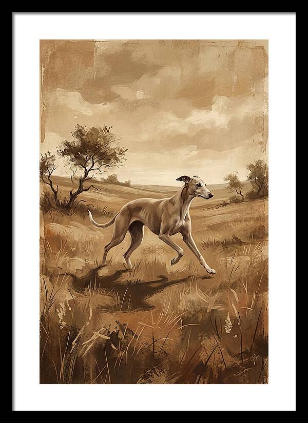 Whippet Running Gracefully Through Fields