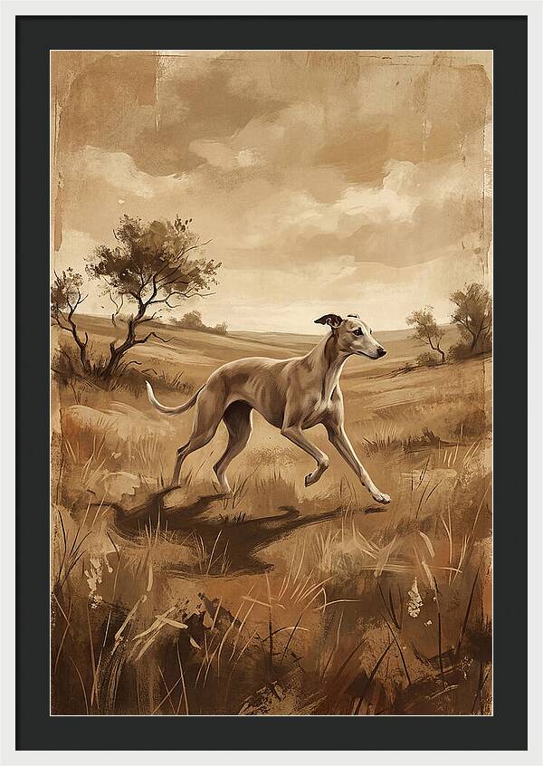 Whippet Running Gracefully Through Fields