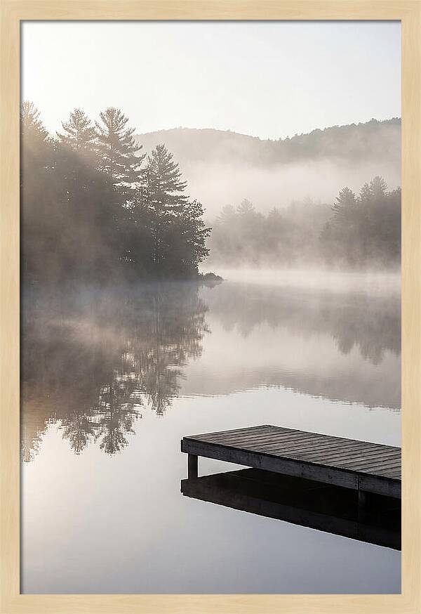 Whispers Of A Foggy Dawn