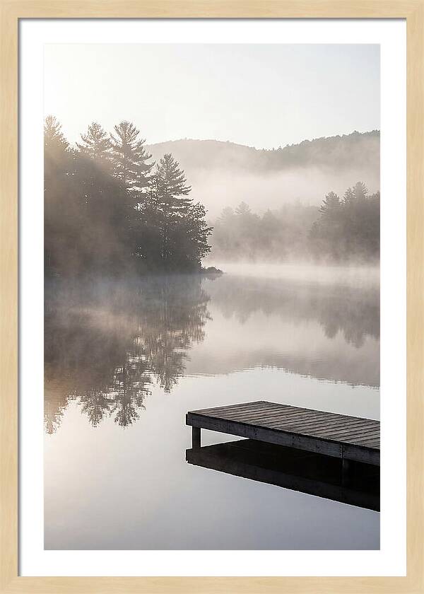 Whispers Of A Foggy Dawn