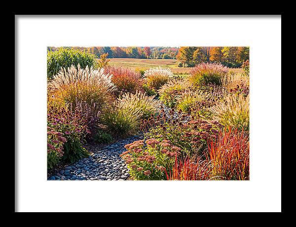 Whispers Of Autumn Blooms