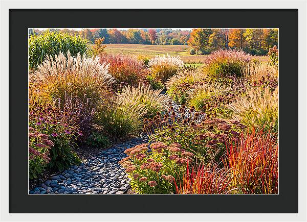 Whispers Of Autumn Blooms