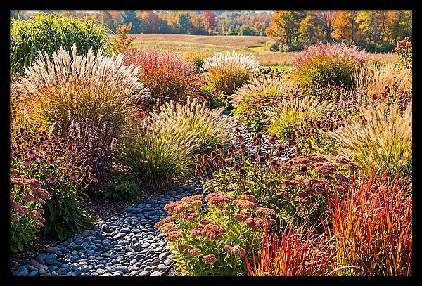 Whispers Of Autumn Blooms