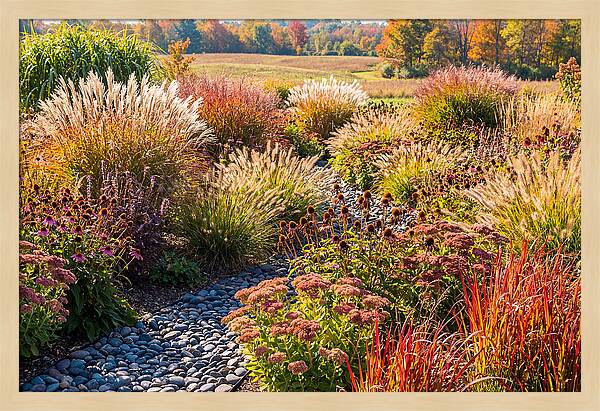 Whispers Of Autumn Blooms