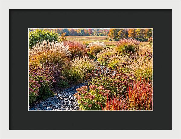 Whispers Of Autumn Blooms