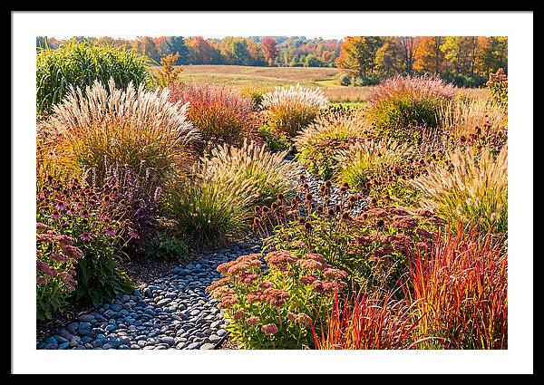 Whispers Of Autumn Blooms
