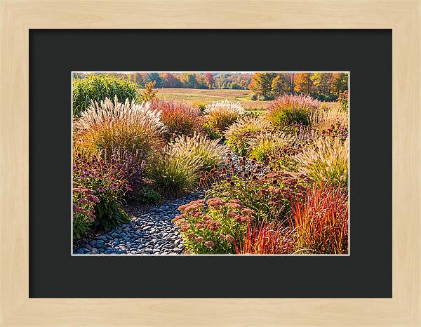 Whispers Of Autumn Blooms