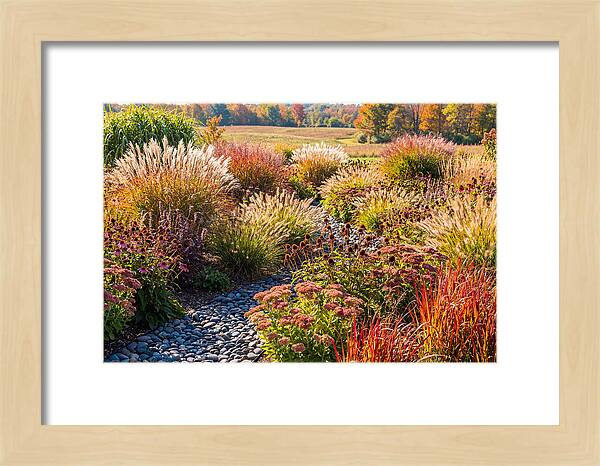 Whispers Of Autumn Blooms