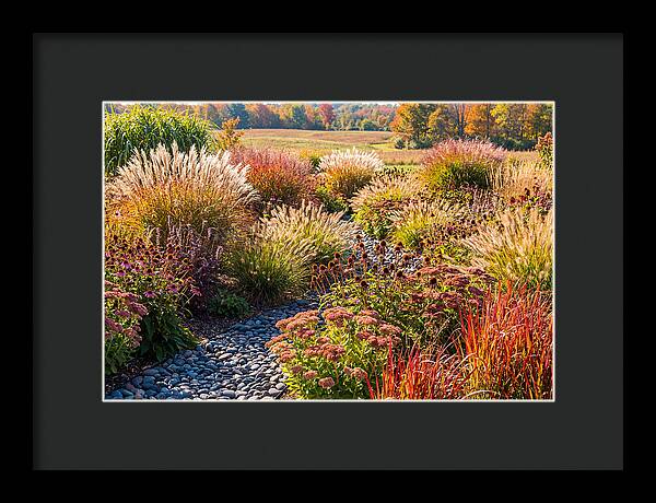 Whispers Of Autumn Blooms