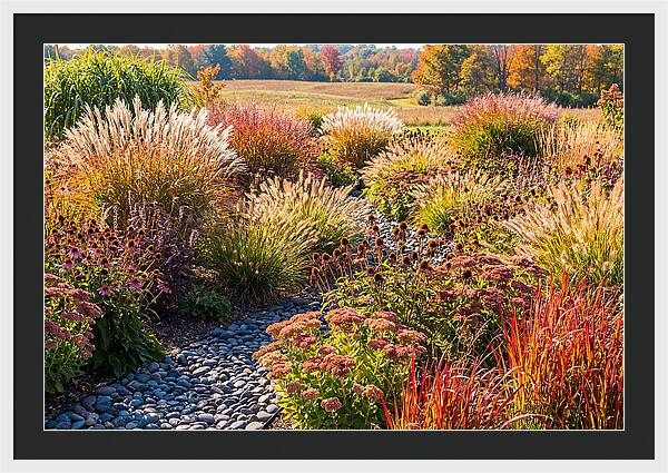 Whispers Of Autumn Blooms