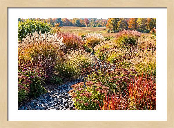 Whispers Of Autumn Blooms