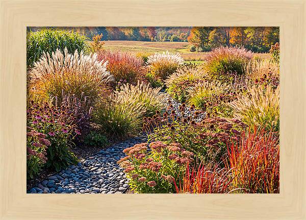 Whispers Of Autumn Blooms