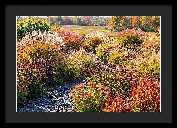 Whispers Of Autumn Blooms