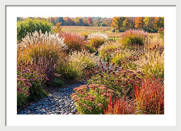 Whispers Of Autumn Blooms