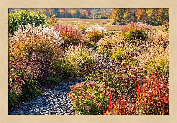 Whispers Of Autumn Blooms