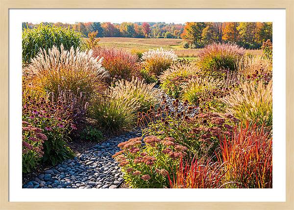 Whispers Of Autumn Blooms