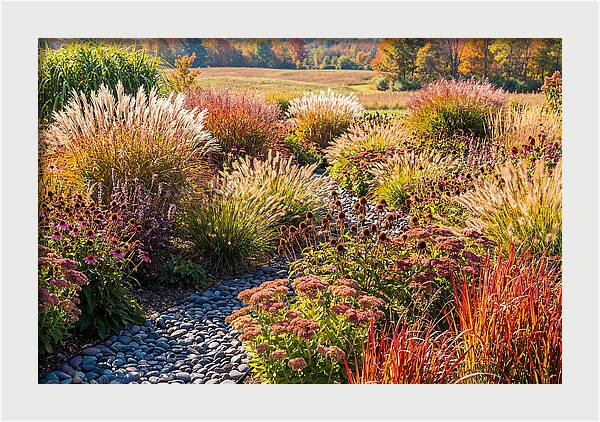 Whispers Of Autumn Blooms