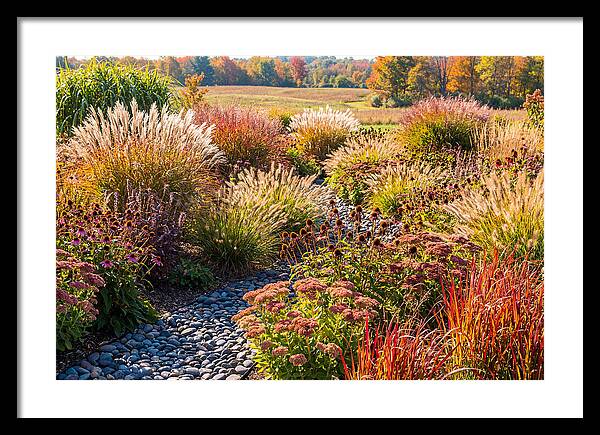 Whispers Of Autumn Blooms