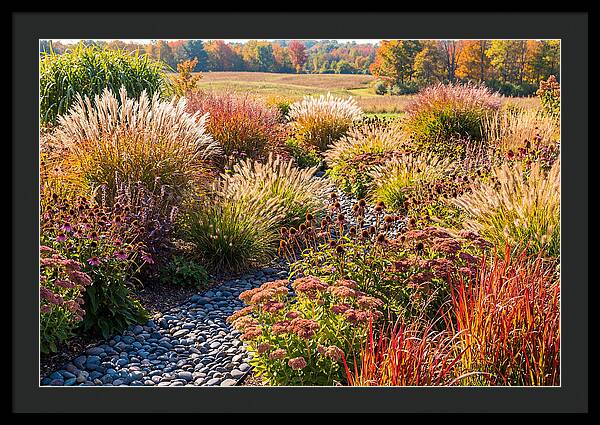 Whispers Of Autumn Blooms