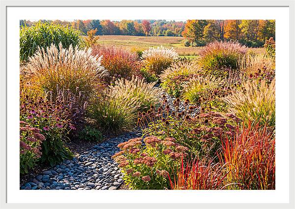 Whispers Of Autumn Blooms