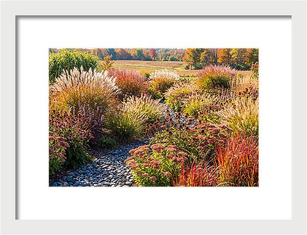 Whispers Of Autumn Blooms