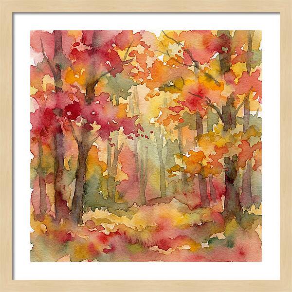 Whispers Of Autumn In The Forest