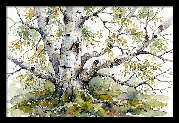 Whispers Of Birch Trees