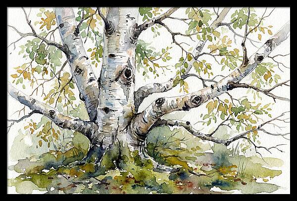 Whispers Of Birch Trees