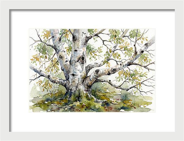 Whispers Of Birch Trees