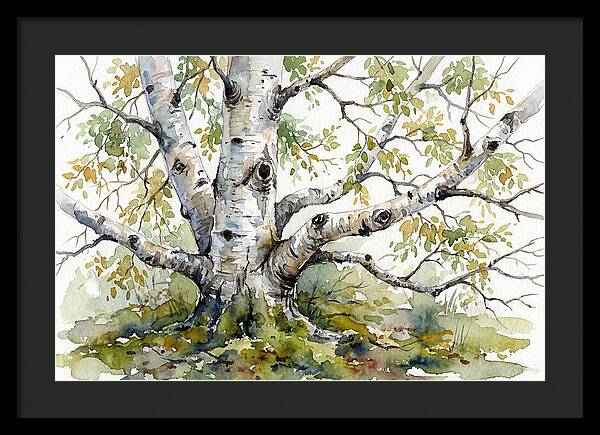 Whispers Of Birch Trees
