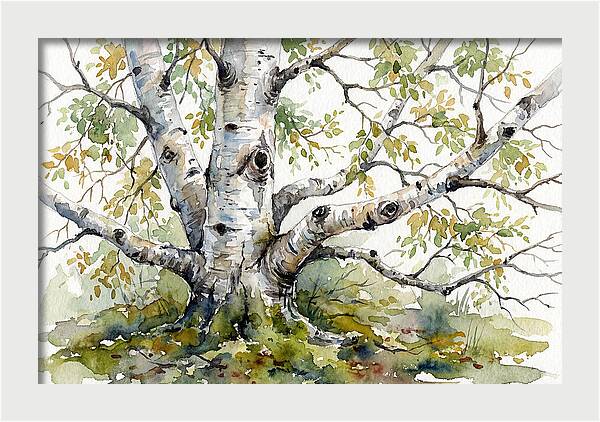 Whispers Of Birch Trees