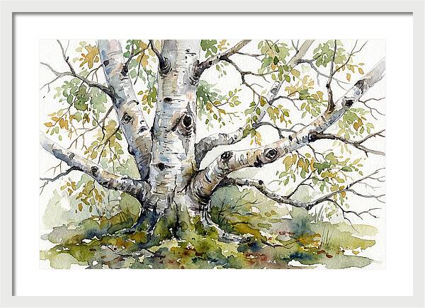 Whispers Of Birch Trees
