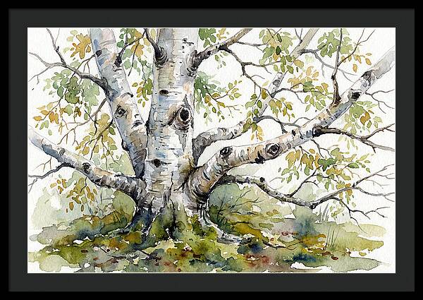 Whispers Of Birch Trees