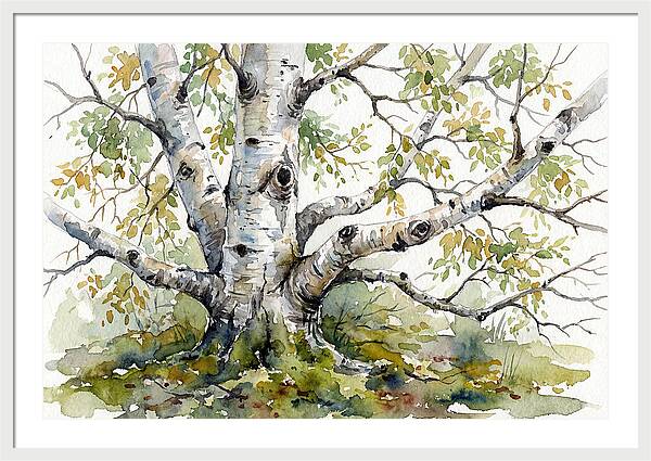 Whispers Of Birch Trees