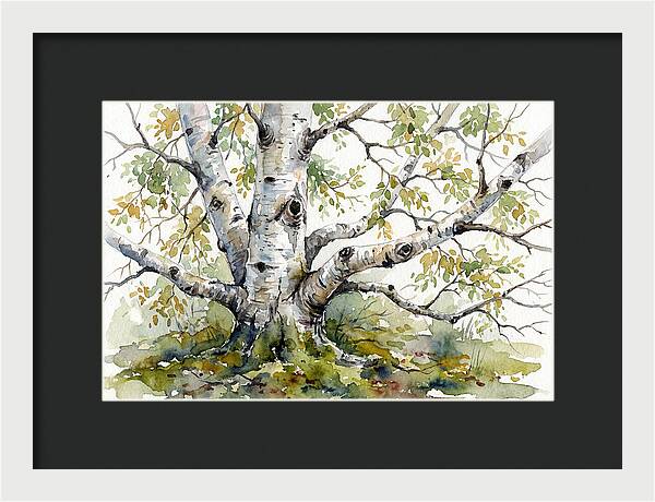 Whispers Of Birch Trees