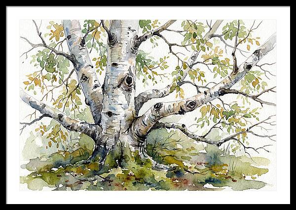 Whispers Of Birch Trees