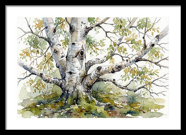 Whispers Of Birch Trees