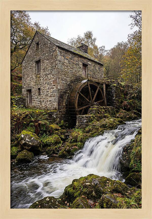 Whispers Of Bollinger Mill