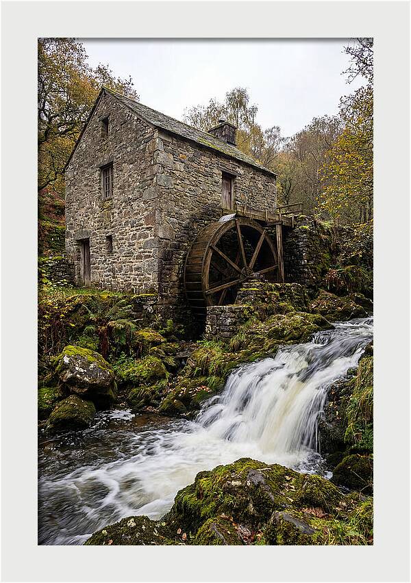 Whispers Of Bollinger Mill