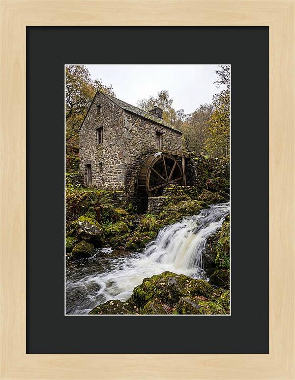 Whispers Of Bollinger Mill