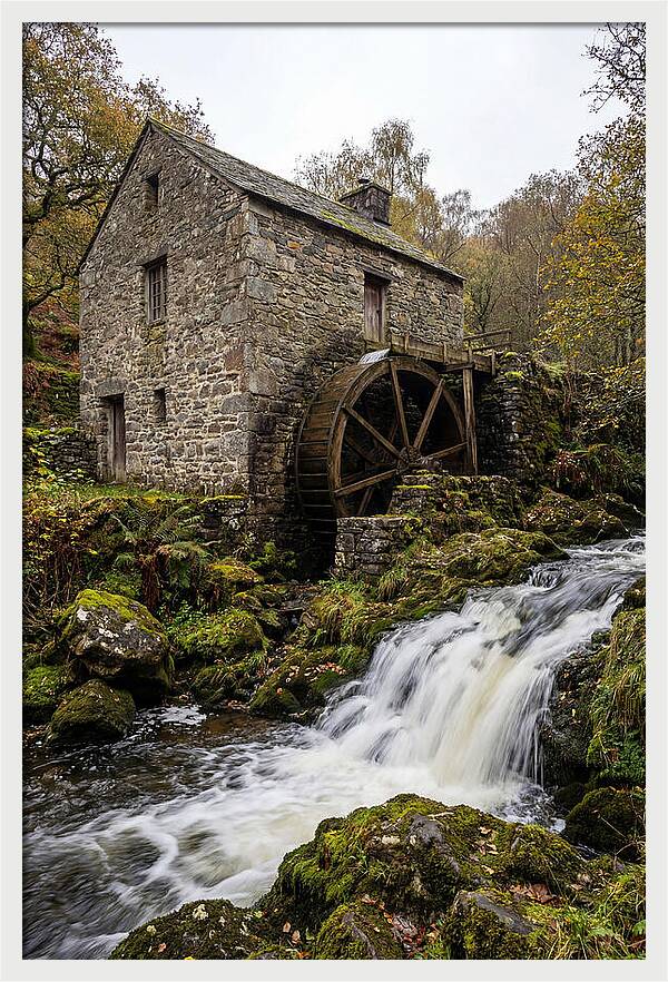 Whispers Of Bollinger Mill