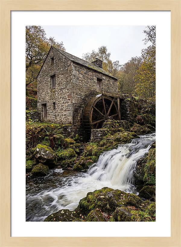 Whispers Of Bollinger Mill