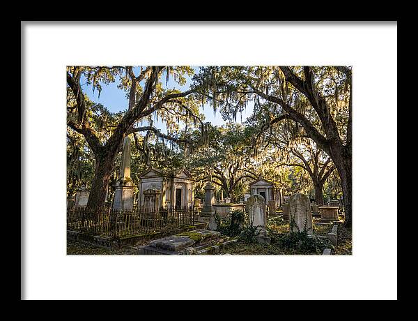 Whispers Of Bonaventure Cemetery