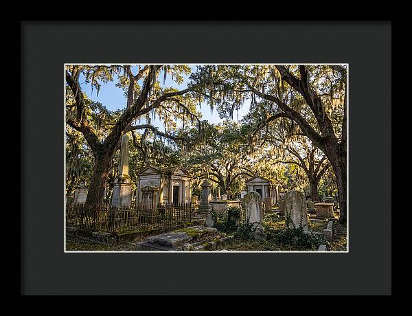 Whispers Of Bonaventure Cemetery