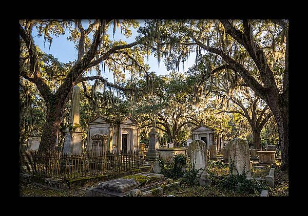Whispers Of Bonaventure Cemetery